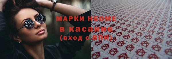 прущие грибы Белокуриха