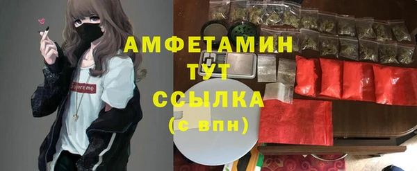 прущие грибы Белокуриха