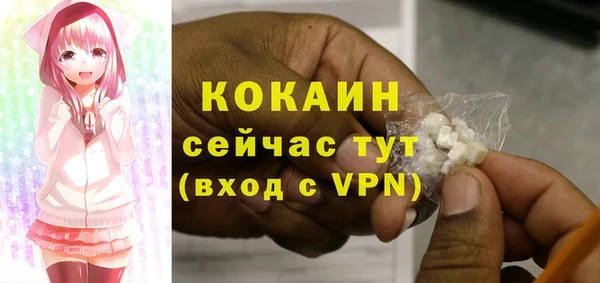 шишки Беломорск