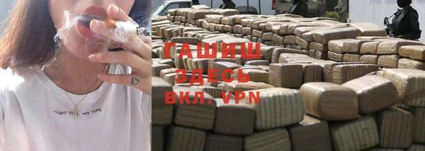 прущие грибы Белокуриха
