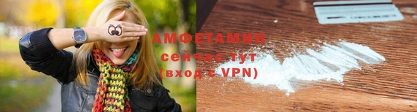 шишки Беломорск