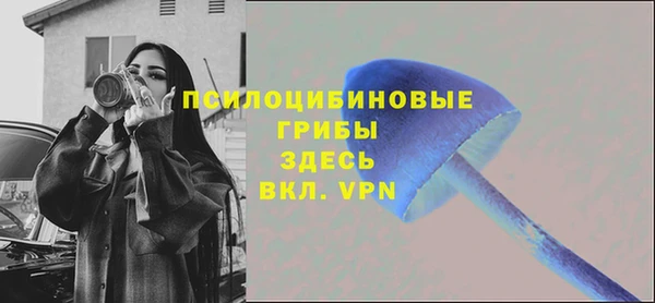 крисы Белоозёрский