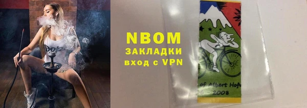 прущие грибы Белокуриха