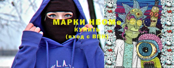 прущие грибы Белокуриха