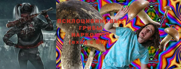прущие грибы Белокуриха