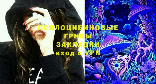 крисы Белоозёрский