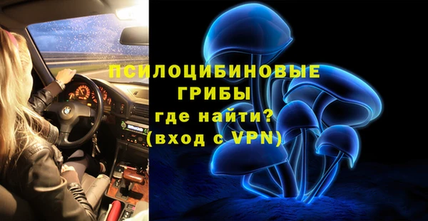 крисы Белоозёрский