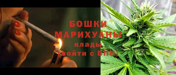 шишки Беломорск