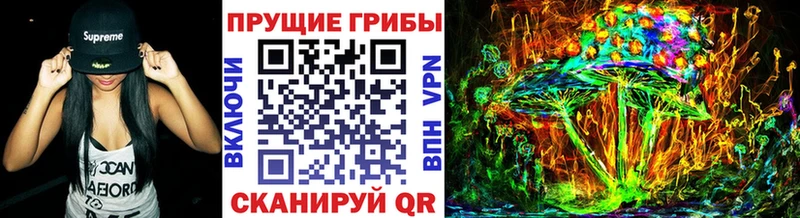 где можно купить наркотик  hydra рабочий сайт  Галлюциногенные грибы Psilocybe  Гусев 
