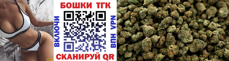 Конопля гибрид Гусев